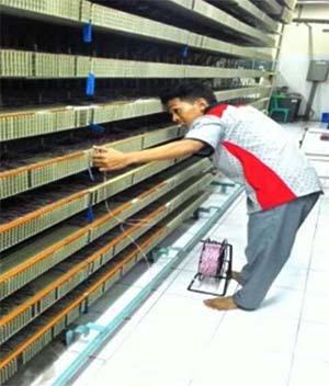 Instalasi Pots & Wifi Di Human Resource Regional V Jawa Timur PT. Telekomunikasi Indonesia