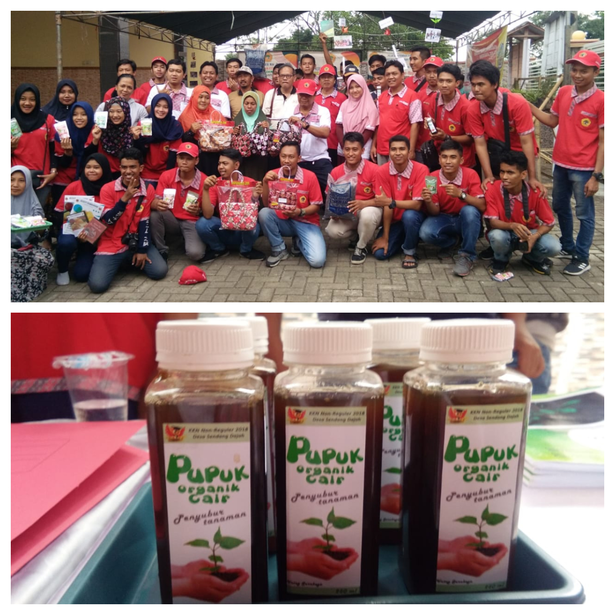 Sendang Dajah, Desa KKN Terbaik Bimbingan Dosen Informatika